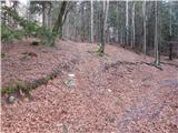 Bašelj - Planina Kališče